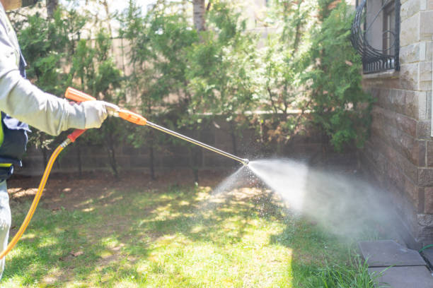 Best Organic or Eco-Friendly Pest Control  in Berkley, MI